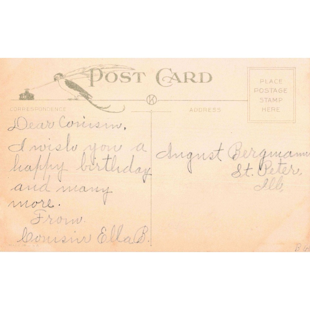 Vintage Birthday Postcard Bluebirds in Nest Pink Flowers St Peter IL VG 703 - Picture 2 of 2